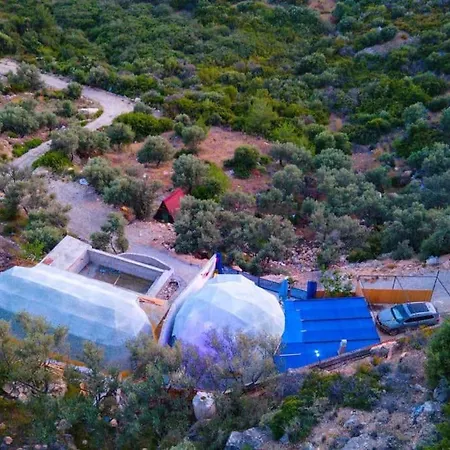 Mehmet 7 * Kaş